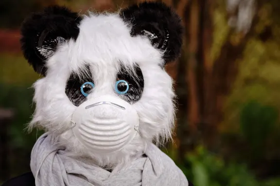 ノックスウィン カジノ サポート